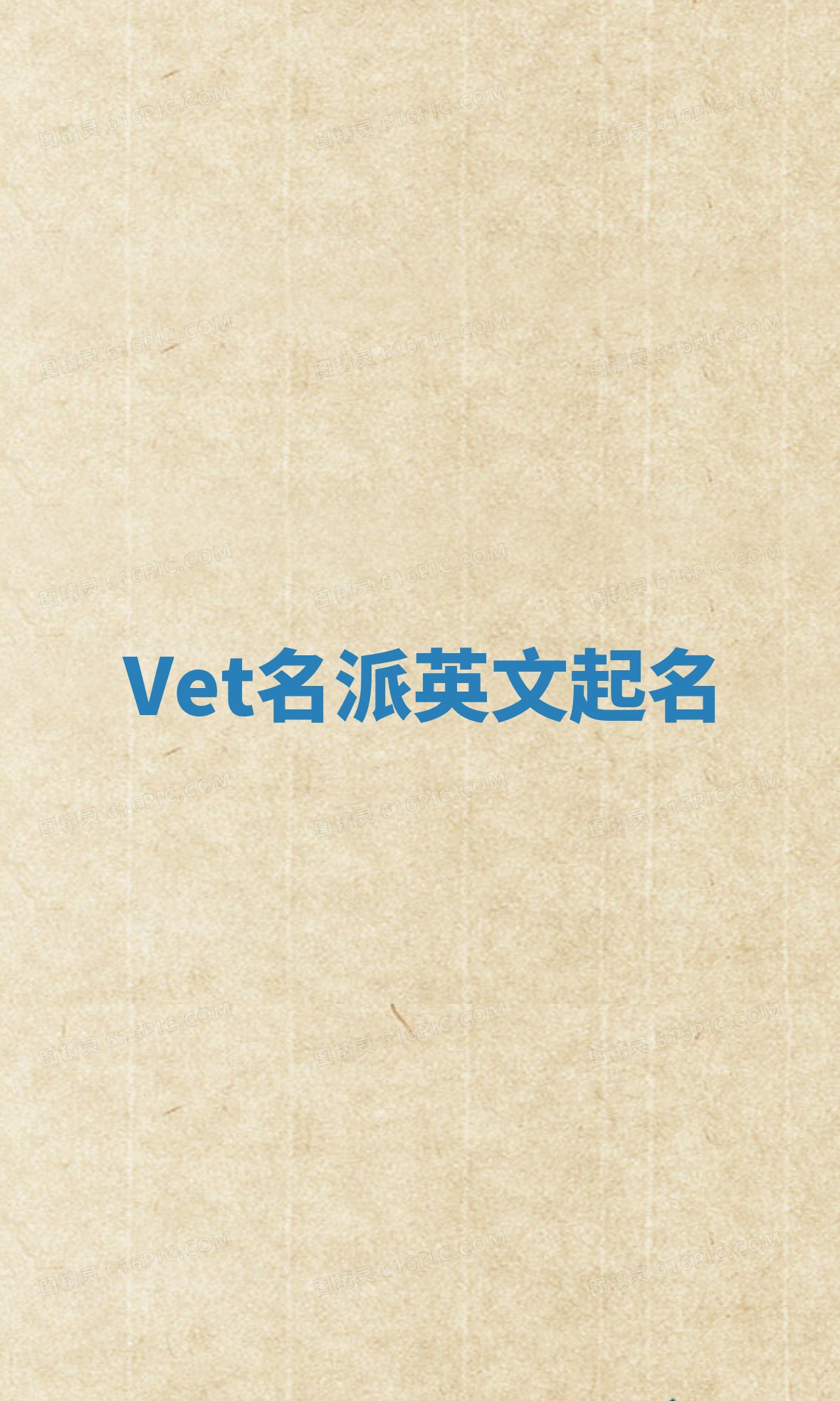 Vet名派英文起名