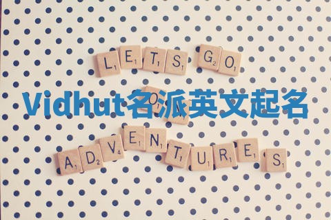 Vidhut名派英文起名