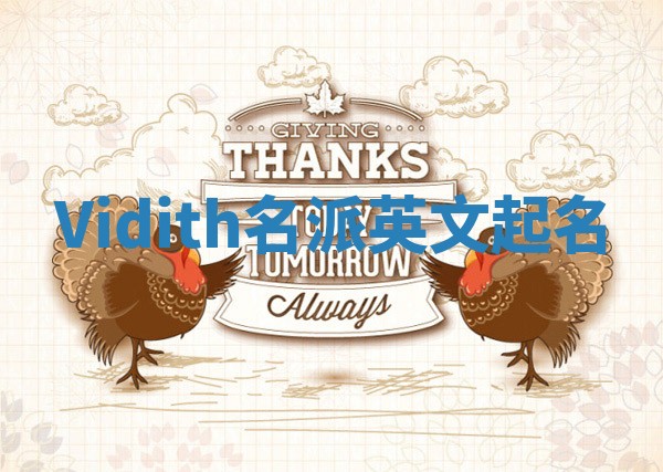 Vidith名派英文起名