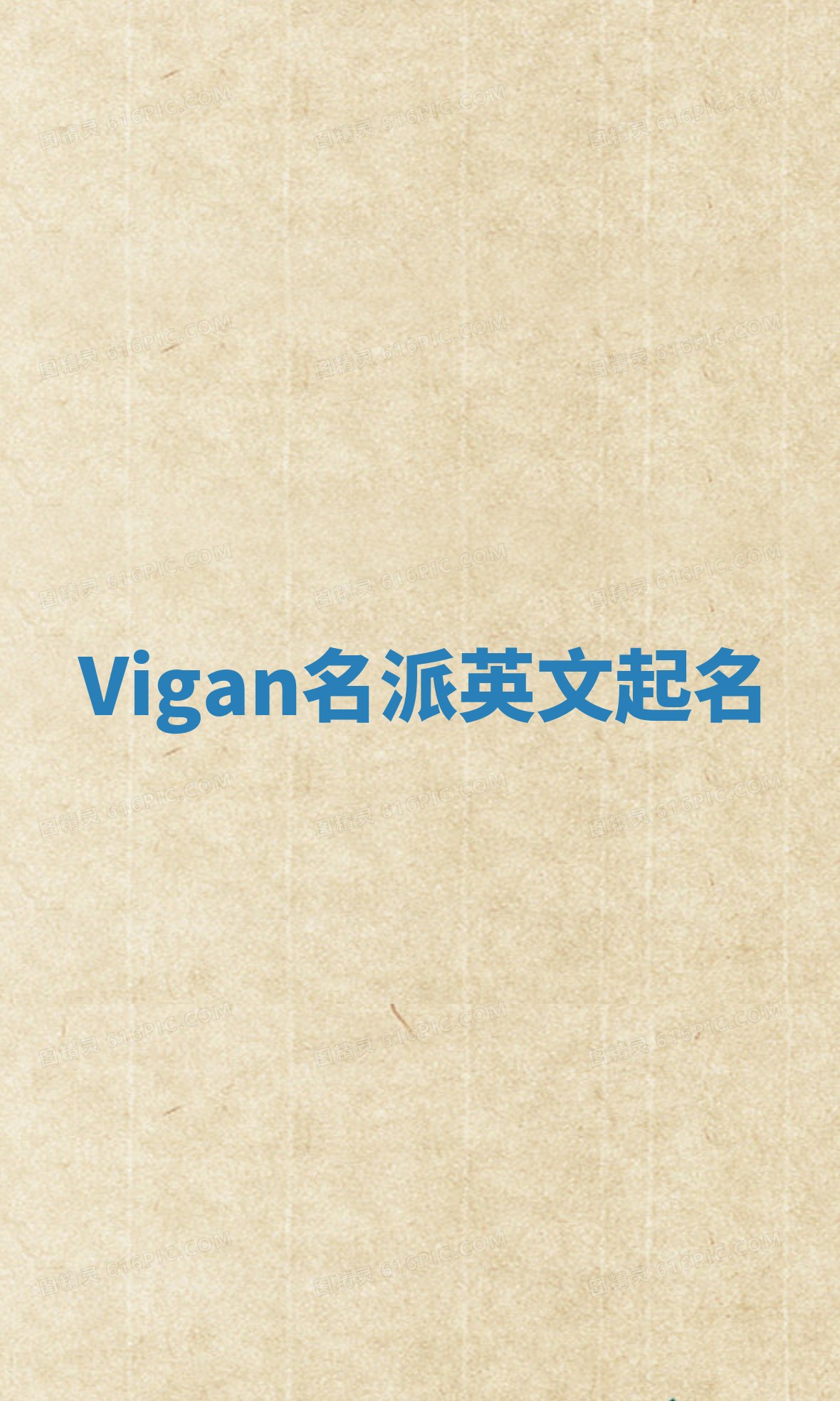 Vigan名派英文起名
