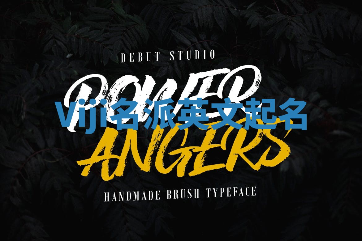 Viji名派英文起名