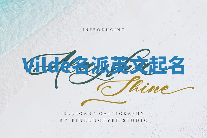 Vilde名派英文起名