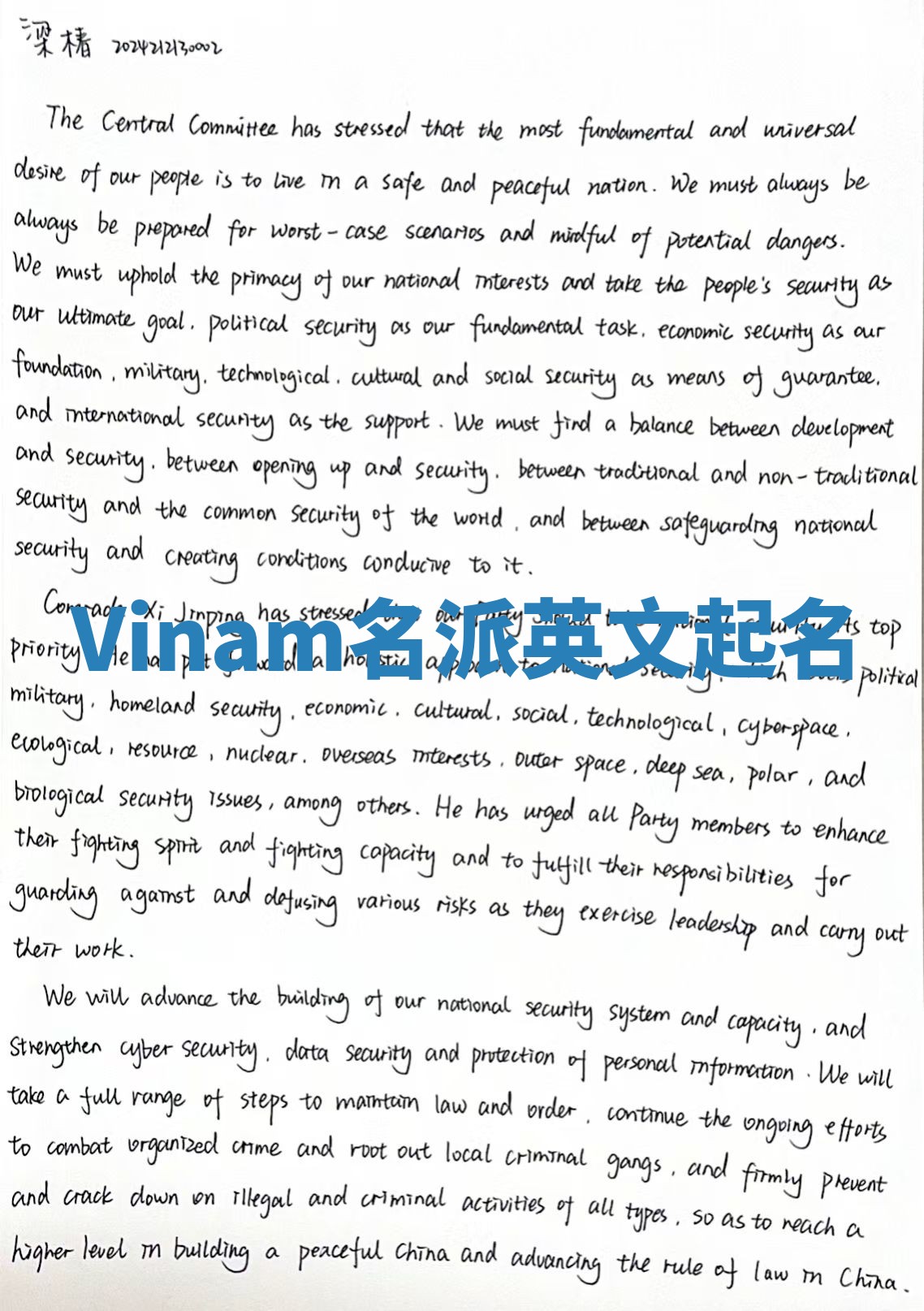 Vinam名派英文起名