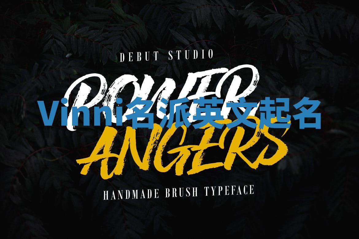 Vinni名派英文起名