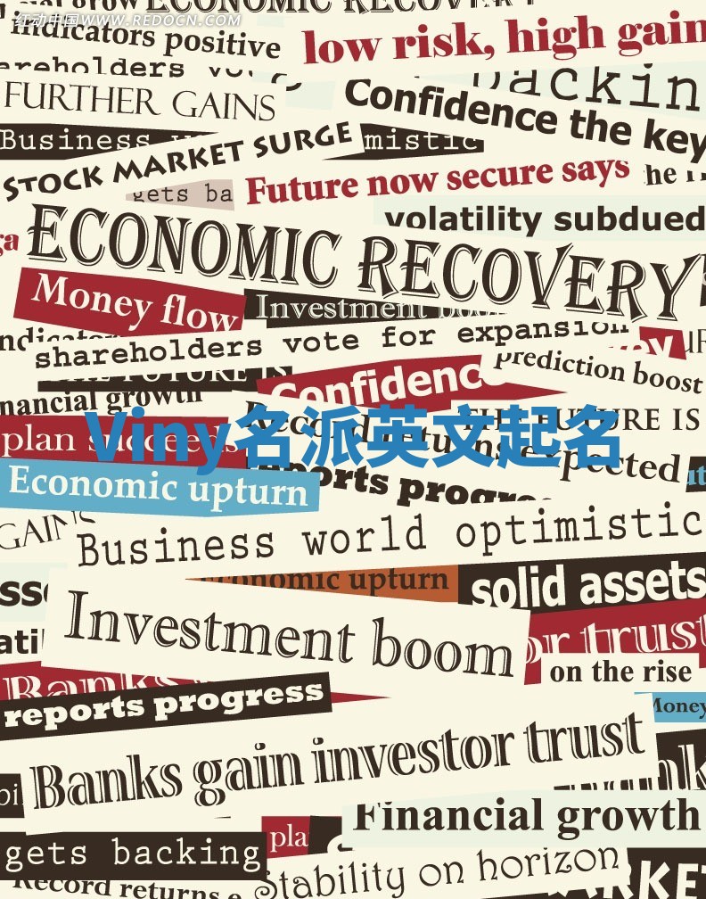 Viny名派英文起名