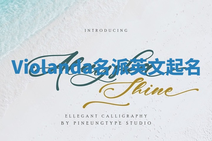 Violanda名派英文起名