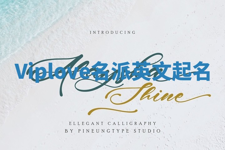 Viplove名派英文起名