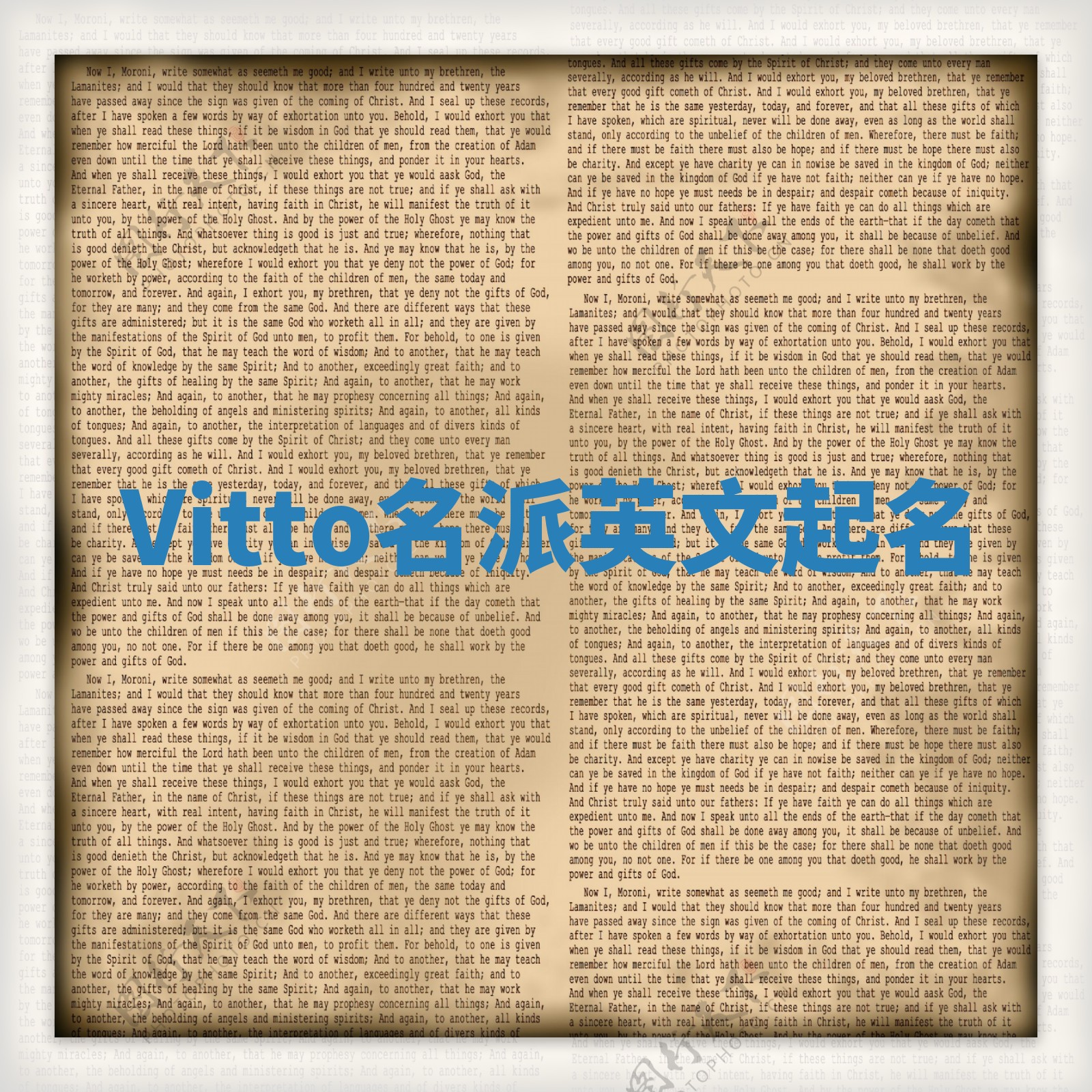 Vitto名派英文起名