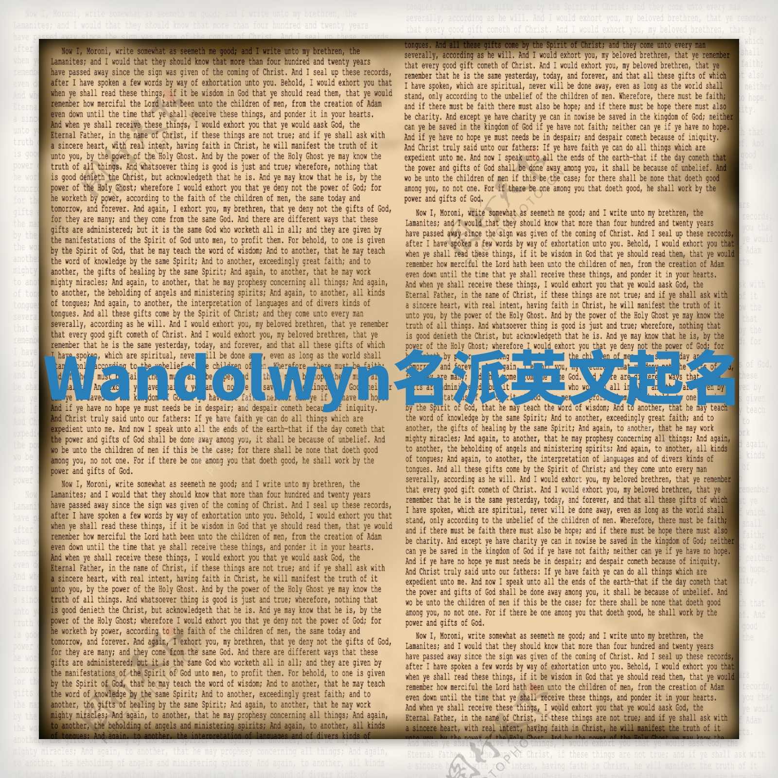 Wandolwyn名派英文起名