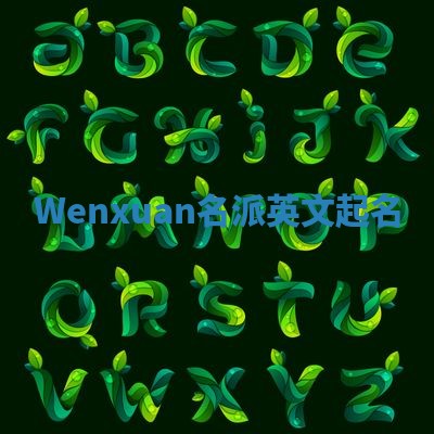 Wenxuan名派英文起名