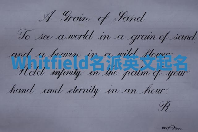 Whitfield名派英文起名