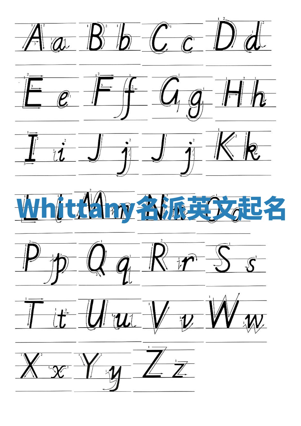Whittany名派英文起名