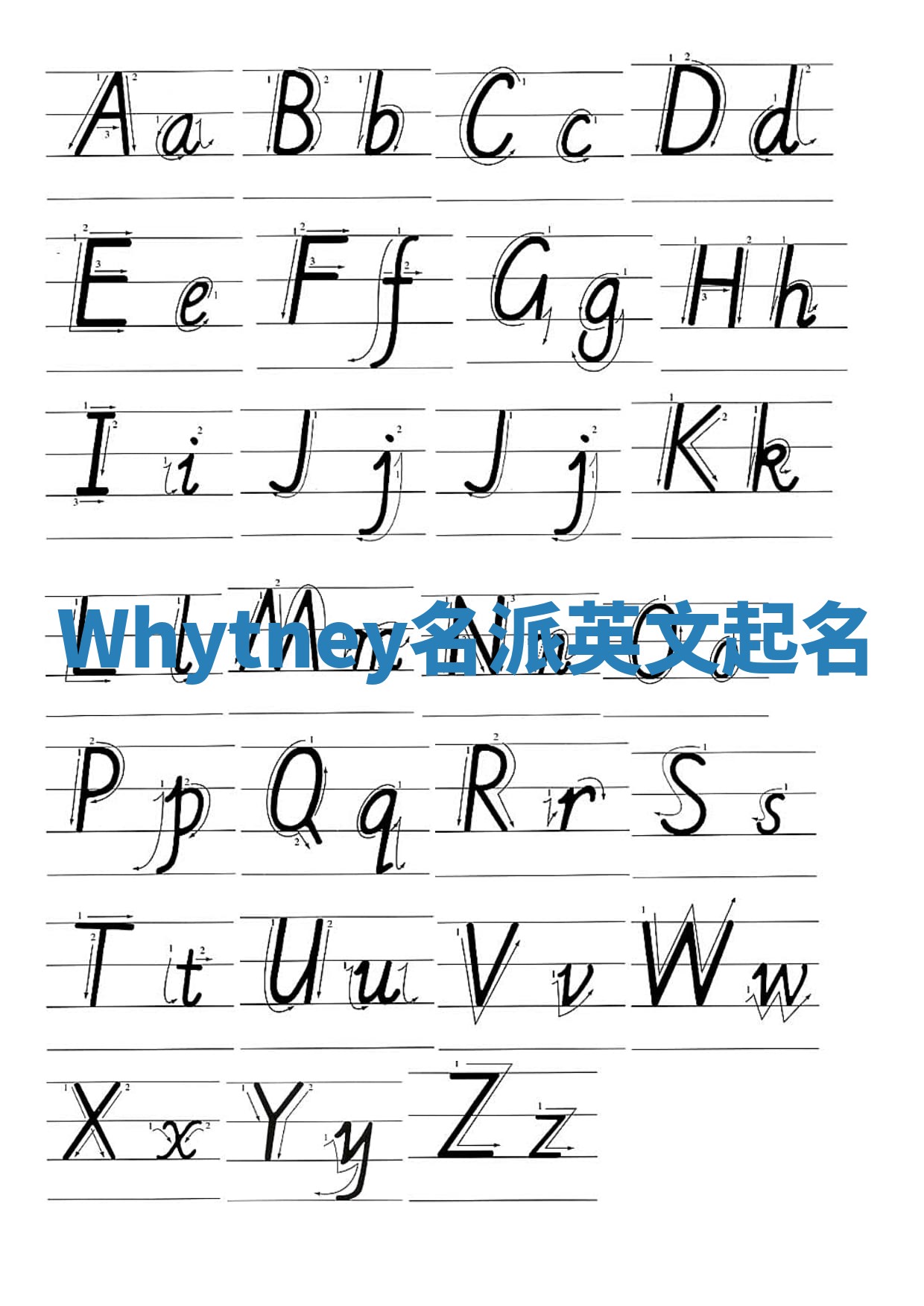 Whytney名派英文起名