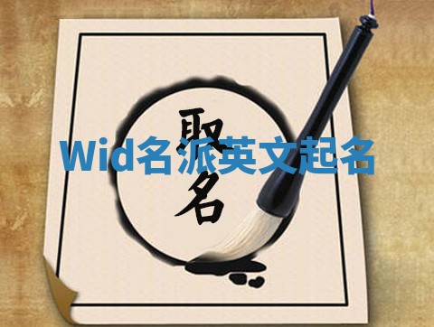 Wid名派英文起名