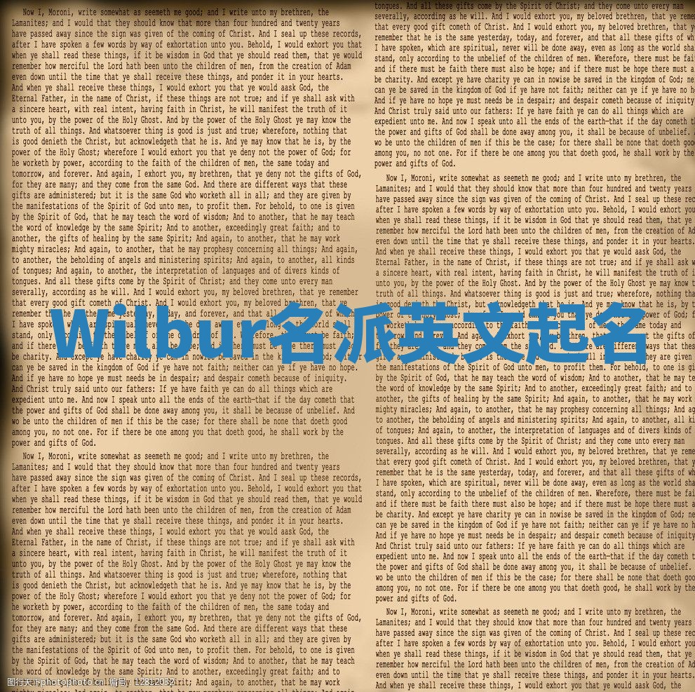 Wilbur名派英文起名