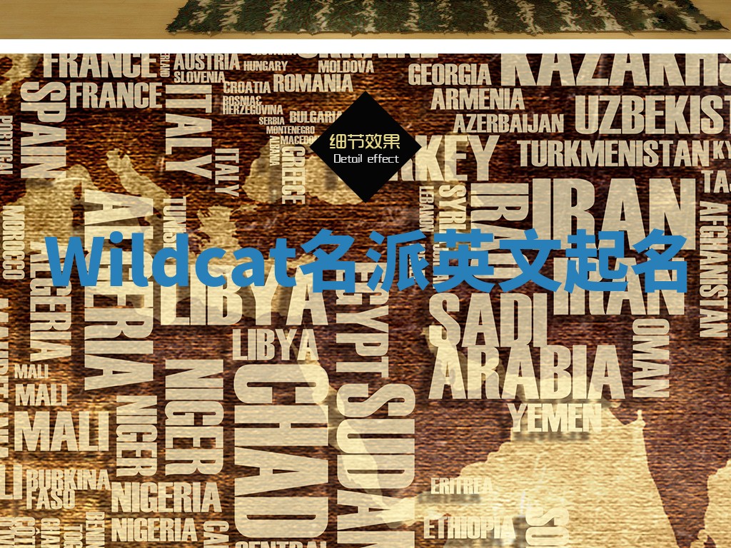 Wildcat名派英文起名