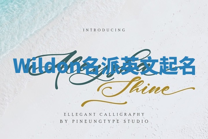 Wildon名派英文起名