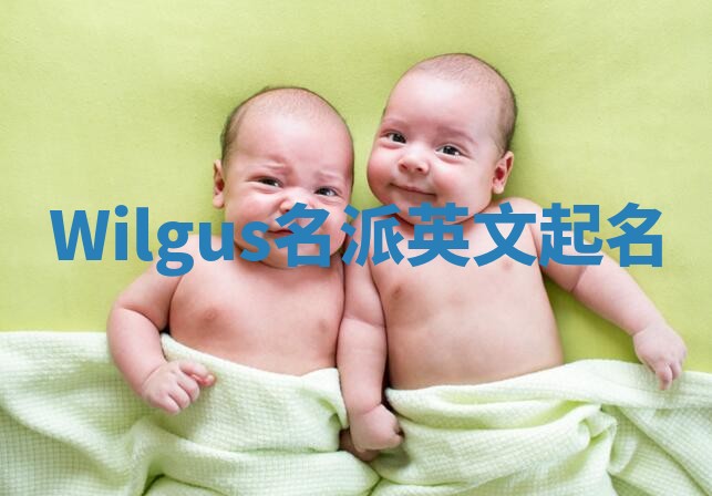 Wilgus名派英文起名
