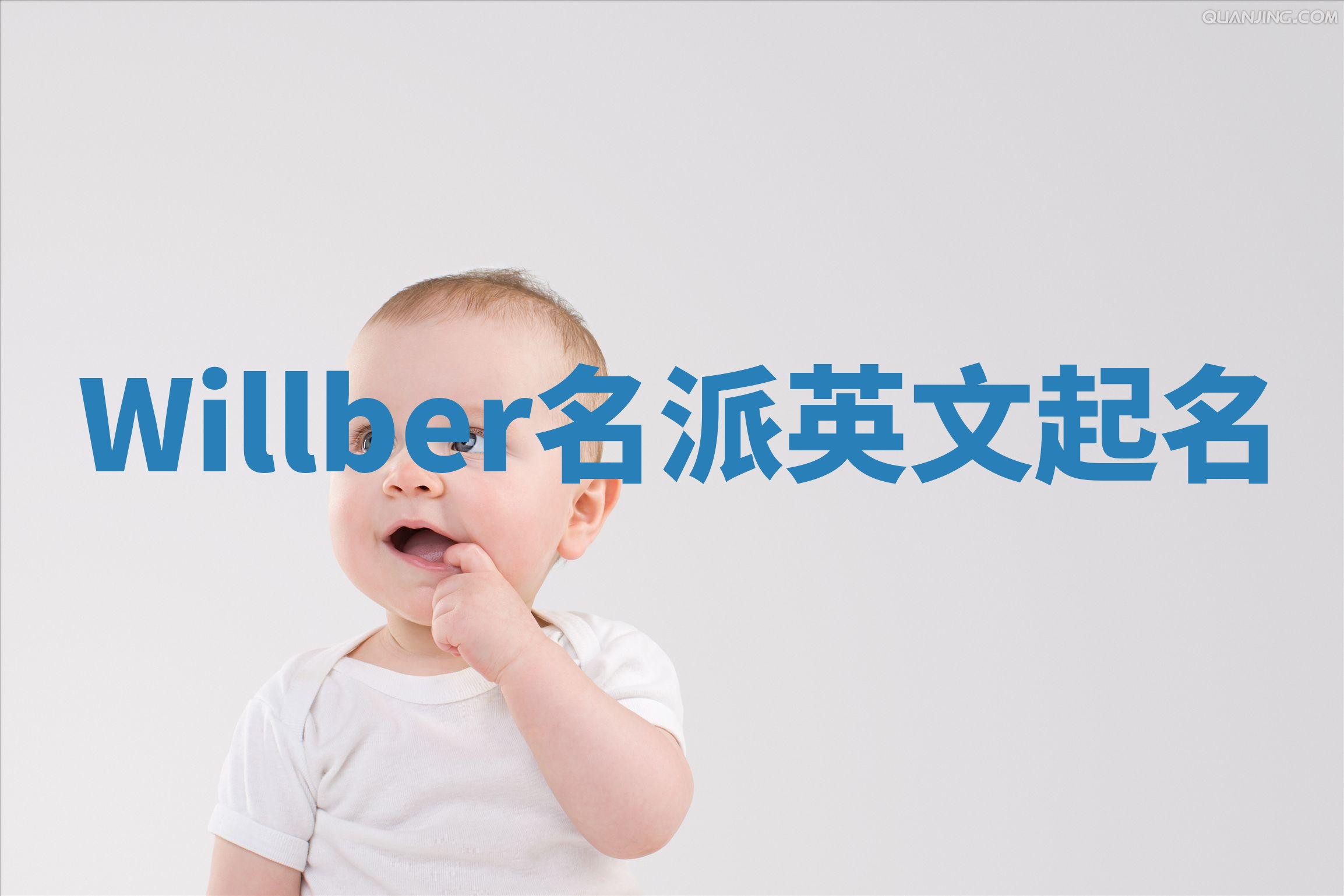 Willber名派英文起名