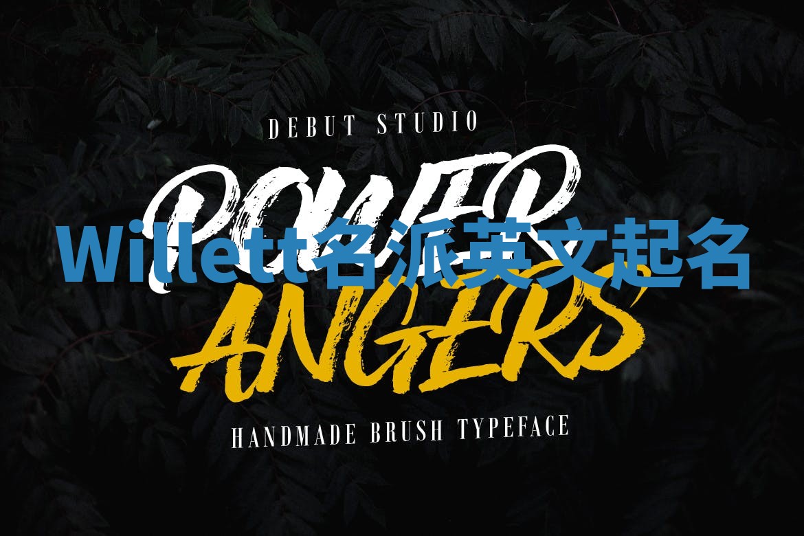 Willett名派英文起名