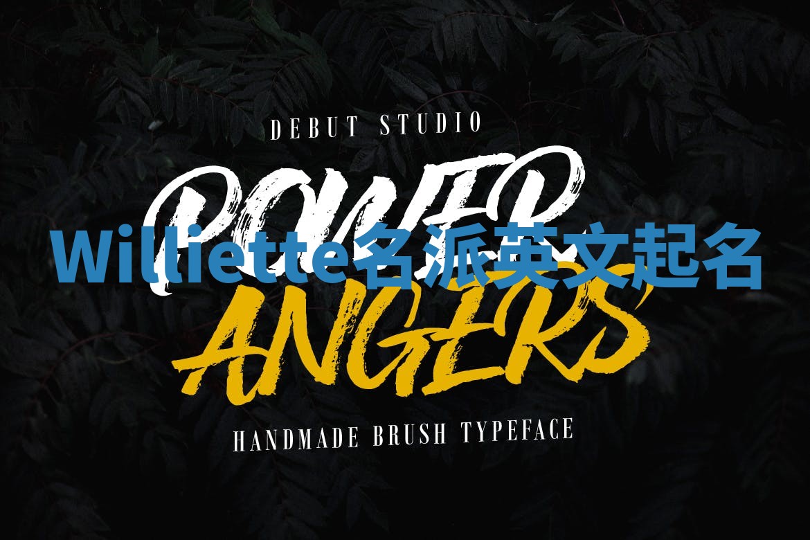 Williette名派英文起名