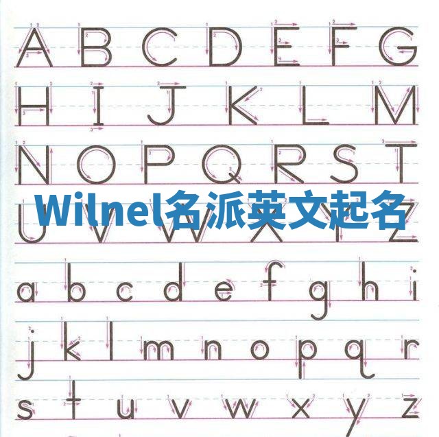 Wilnel名派英文起名