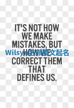 Wilsyn名派英文起名