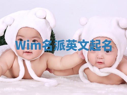 Wim名派英文起名