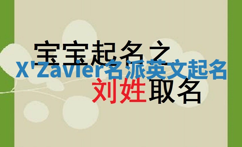 X'Zavier名派英文起名