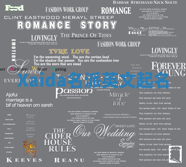 Xaida名派英文起名