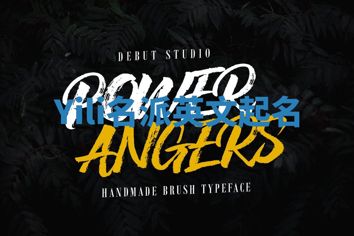 Yili名派英文起名