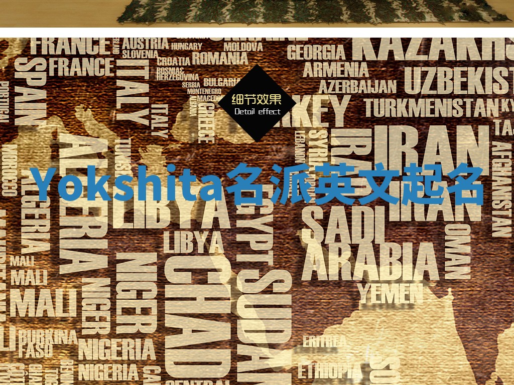 Yokshita名派英文起名