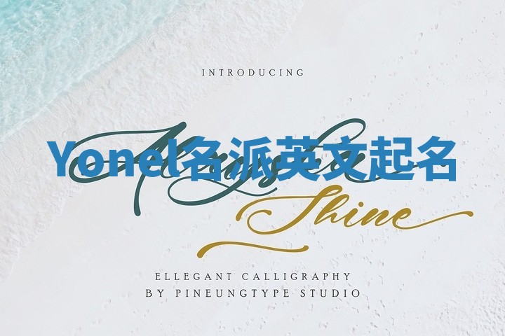 Yonel名派英文起名