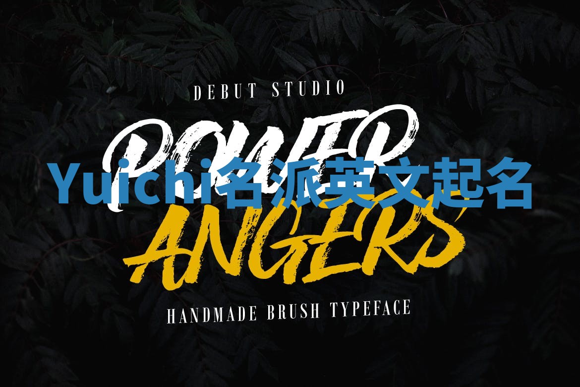 Yuichi名派英文起名