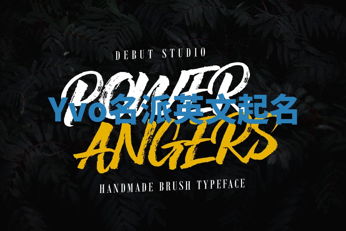 Yvo名派英文起名