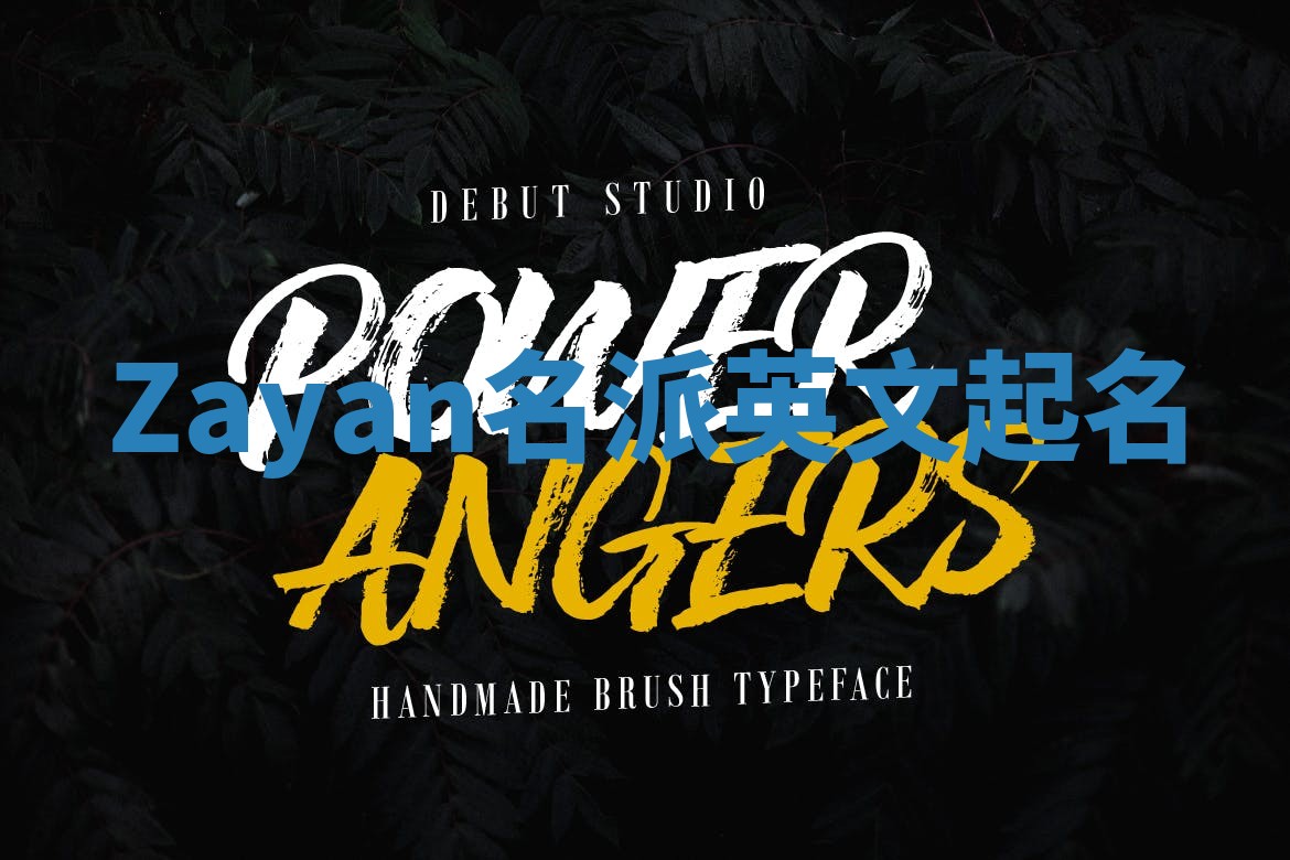 Zayan名派英文起名