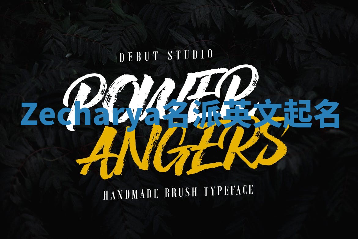 Zecharya名派英文起名