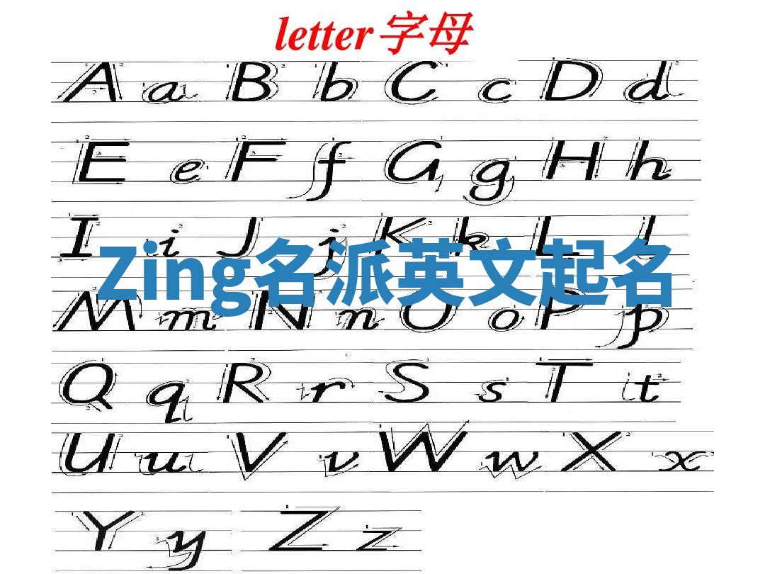 Zing名派英文起名