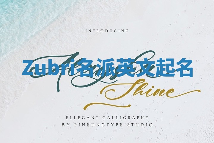 Zubri名派英文起名