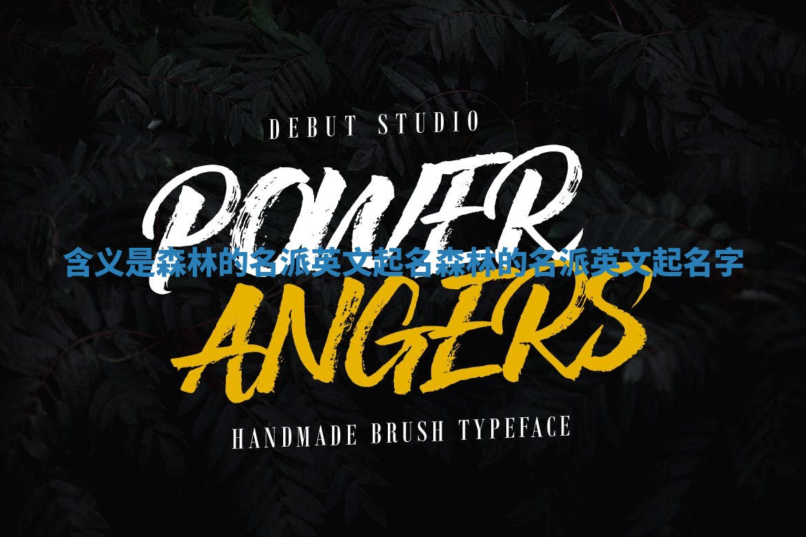 含义是森林的名派英文起名 森林的名派英文起名字