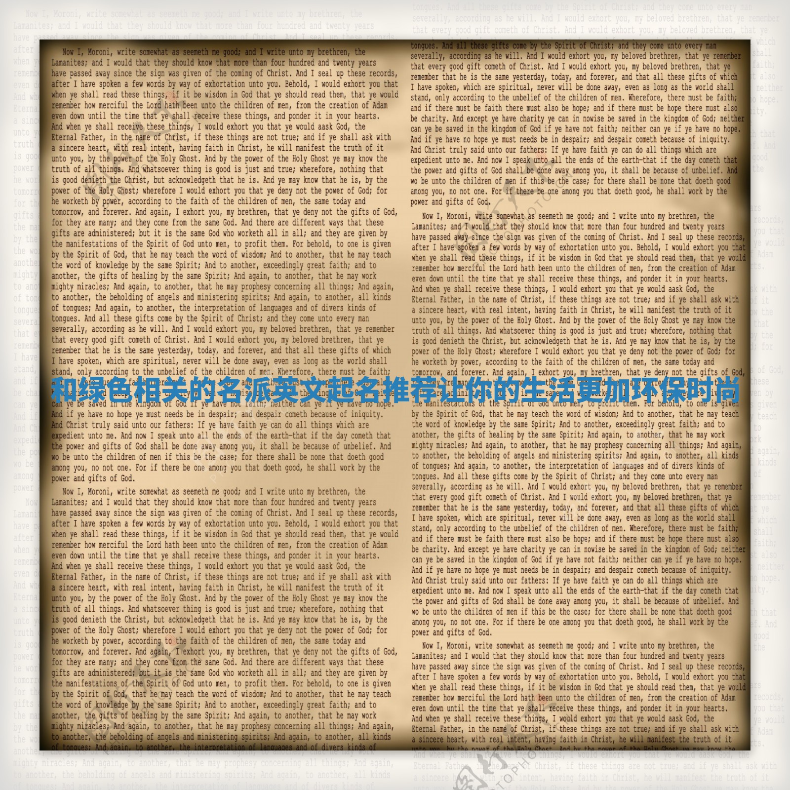 和绿色相关的名派英文起名推荐让你的生活更加环保时尚