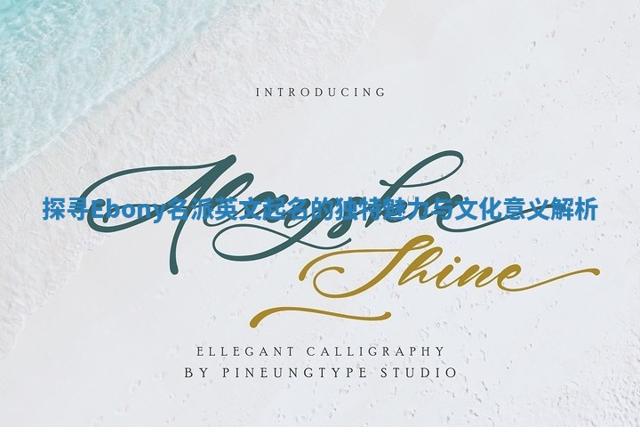 探寻Ebony名派英文起名的独特魅力与文化意义解析