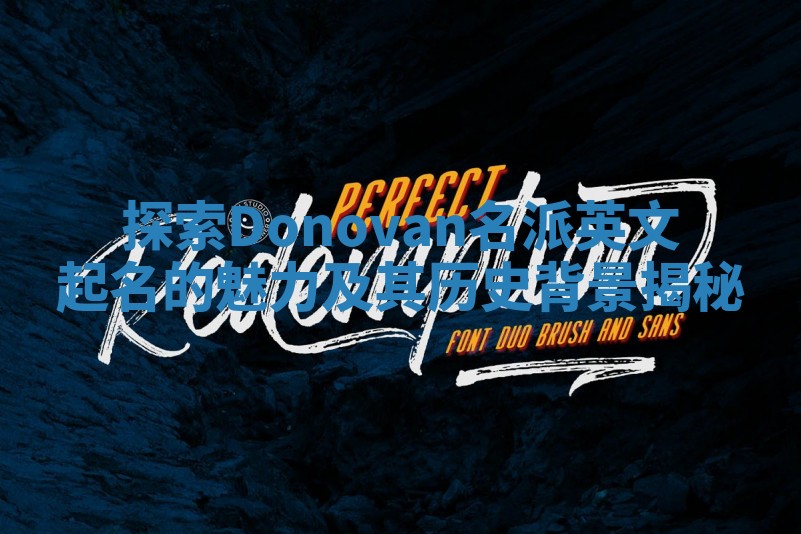 探索Donovan名派英文起名的魅力及其历史背景揭秘