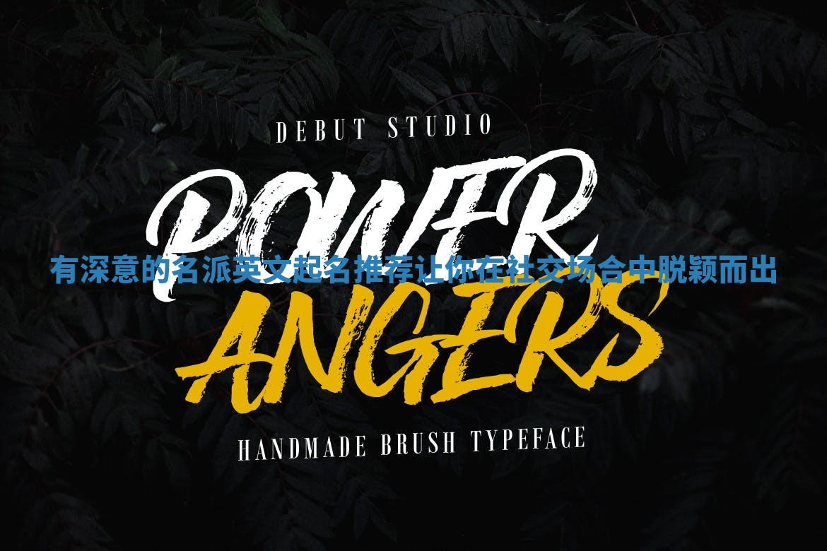 有深意的名派英文起名推荐让你在社交场合中脱颖而出