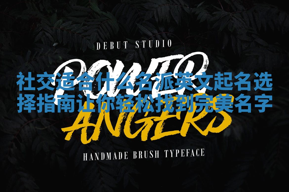 社交适合什么名派英文起名选择指南让你轻松找到完美名字